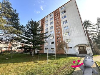 Prodej byt 2+1, 48 m2 - Kralupy nad Vltavou - Lobeček - 14