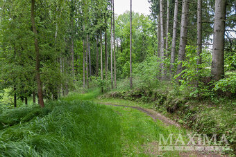 Pozemek  o ploše 33624 m2 - Višňová, Předlánce - 14