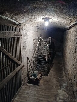 Prodej vícegeneračního domu 369 m², Kostelec nad Labem - 14