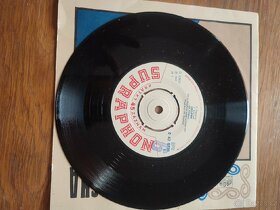 Různé druhy starých gramofonových LP desek AKCE 1+1 ZDARMA - 14