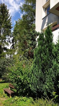 Byt 2+1, 69 m2, lodžie, výtah, sklepy, parkování. - 14