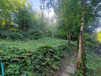 Prodej rodinného domu - Vidlatá Seč - 14