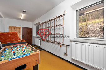 PRODEJ  - penzion Hanka v Orličkách - 14