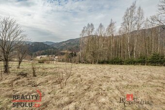 Prodej, pozemky/louka, 3901 m2, Dolní Rokytnice , Rokytnice  - 14