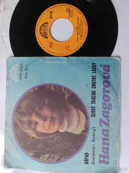 Gramofonové desky - 14