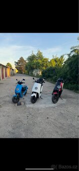 Pronájem elektroskútru - NIU - 600 Kč/den, 1500 Kč/vík - 14