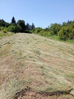 Zahrada u Loun, v obci Brodec, krásné okolí - 14