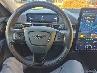 Ford mustang mach-e - 14