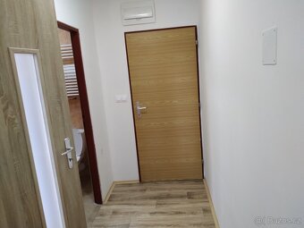 Pronájem bytu 1+kk 25 m2 Dobrotice - 14