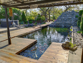 Filtrace jezírková, Tripond C-115, i lineární Jumbo - 14