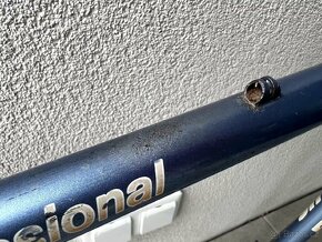 Batavus Professional - Reynolds 531 Professional - 14