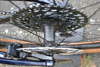 Scott Spark 920 (M) - 14