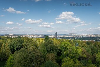 Prodej bytu 2+kk, 46 m2, Brno - Horní Heršpice - 14