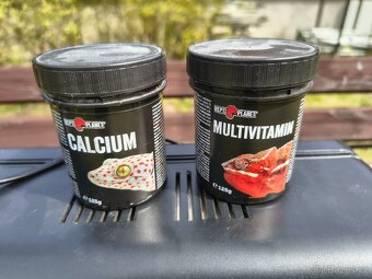 Plně zařízené terárium - 14