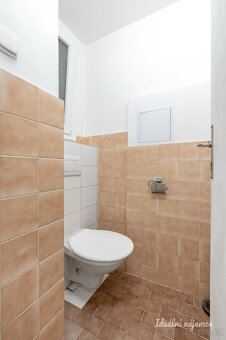 Pronájem bytu 3+1, Lucemburská, Žižkov, 31900 Kč/měs, 76 m2 - 14