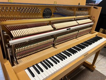W.Hoffmann - Bechstein mod. 117 se zárukou 5 let. - 14