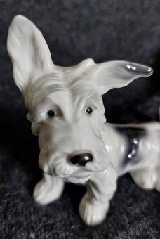porcelánové figurky psích krasavců 2 - 14