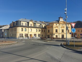 Prodej bytového domu s komerčním prostorem - 14