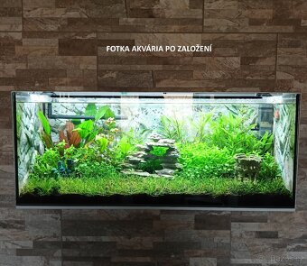 Prodám akvarium 160l + techniku, substrát atd. - 14