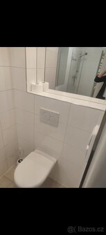 Pronájem bytu 3+kk - 14