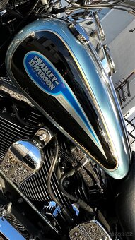 Harley - Davidson, Dyna 96´ inch. - 14