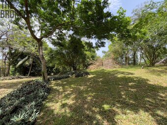 Lot 3 Bodden Bight Estate Jonesville, Roatan - 14