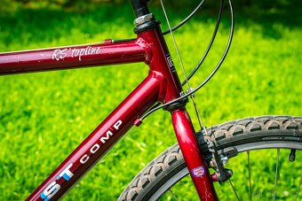 Horské kolo RS Topline Beast Comp - 14