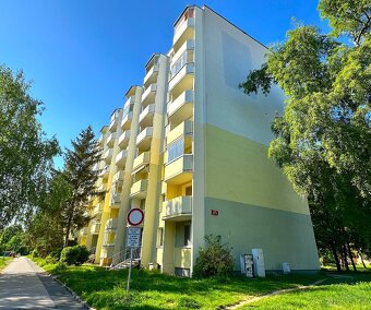 Prodej, Byt, 2+1, Hutník, Veselí nad Moravou - 14