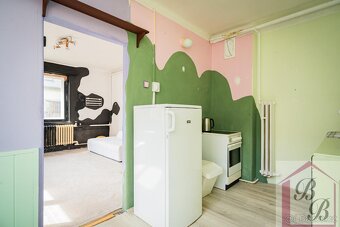 Prodej rodinného domu 6+2 se zahradou, Němčice, okres Mladá  - 14