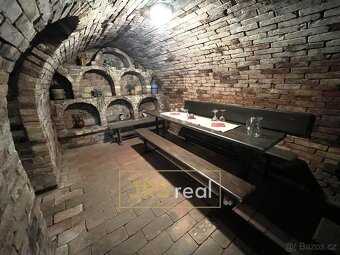 Prodej penzionu s CP 250 m²  v Bořeticích na  Kraví hoře - 14