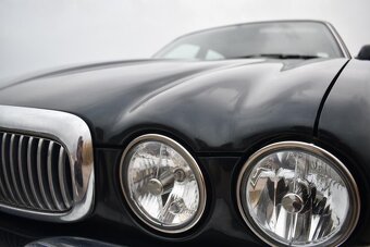 Nabizim jaguar - 14