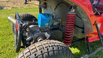 Havel buggy Rezervace do 29.6 - 14