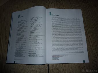 Odborná kniha "Postupy v léčbě psychických poruch" - 14