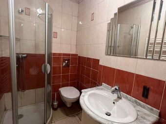 PRONÁJEM 2 + 1 v centru Holic - 14