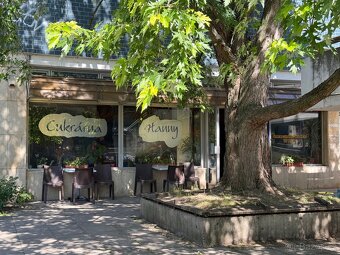 Přenechání nájmu – plně vybavená cukrárna, Praha 5 – Radotín - 14