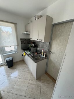 NABÍZÍM KOMPLETNĚ ZAŘÍZENÝ PRONÁJEM PARKOVÁNÍ WIFI ZAHRADA - 14