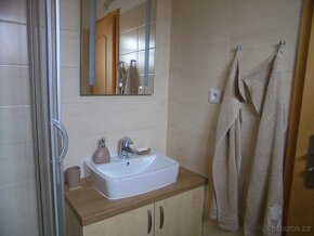 Nabízím k pronájmu zařízený apartmán ve Starém Plzenci - 14