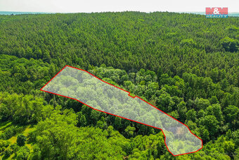 Prodej stodoly s lesním pozemkem 5096 m², Hostouň - Slatina - 14
