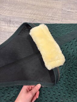 Kentucky, Lemieux, Zandona atd - 14