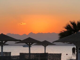 Cabano  Soma bay Egypt - 14