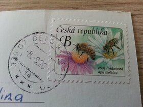 DINO, BOB Snail, Kinder JOY, FIFA 365, Minecraft,MIMONI pogy - 14