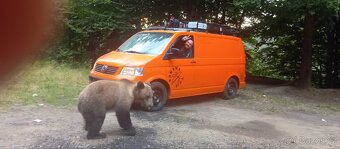 Expediční Transporter T5 - 14