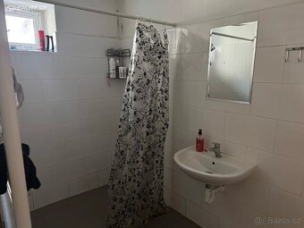 Prodej rodinného domu 594 m², pozemek 902 m² Žirovnice - 14