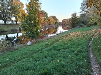 Rodinný dům 5+1 se zahradou 590 m2 - Hradec Králové - 14