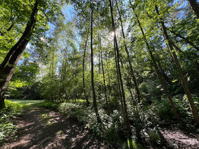 Malebný pozemek 2217 m2 u Prahy - Kamenný Přívoz - 14
