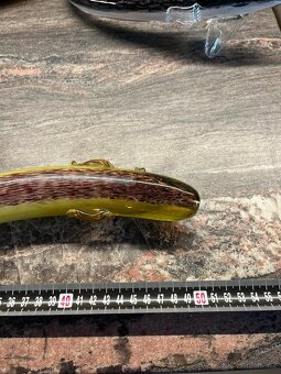 Skleněné ryby - 14