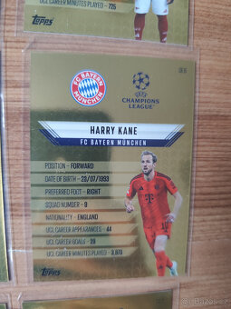 Fotbalové kartičky Match Attax 2024/25 - Golden Edge - 14