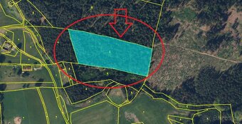 Prodej lesního pozemku k.ú. Havlovice - 14