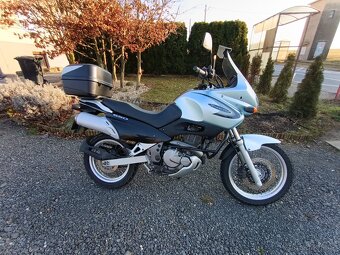 Suzuki Freewind 650 XF - 14