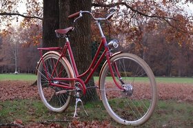 Dámké kolo Eska Continent (jako Pashley) - 14